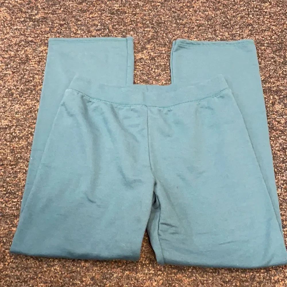 Hanes Teal sweat pants sz. S